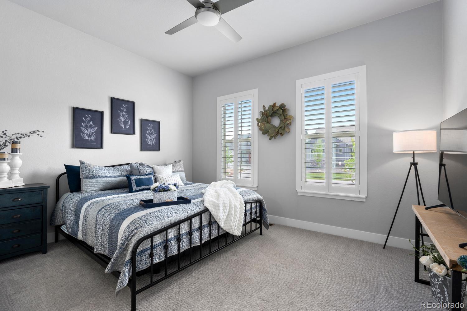 MLS Image #22 for 3359  carabiner street,castle rock, Colorado
