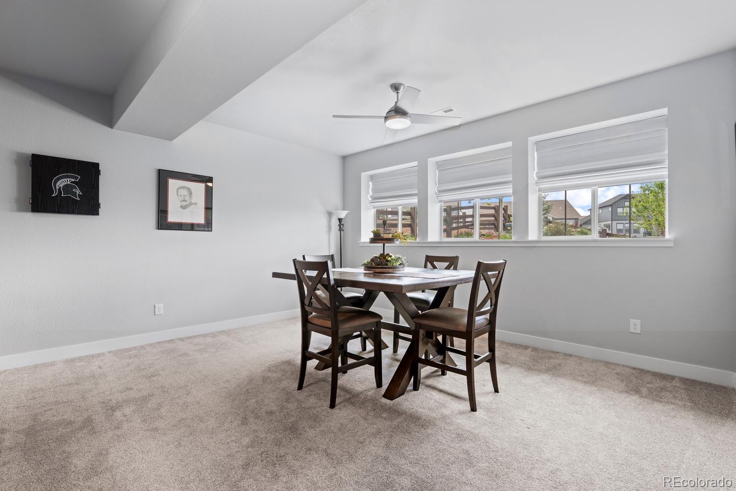 MLS Image #29 for 3359  carabiner street,castle rock, Colorado