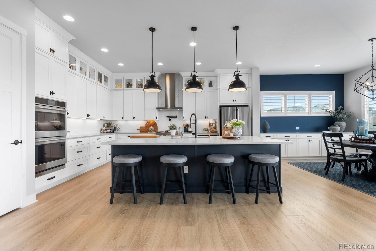MLS Image #9 for 3359  carabiner street,castle rock, Colorado