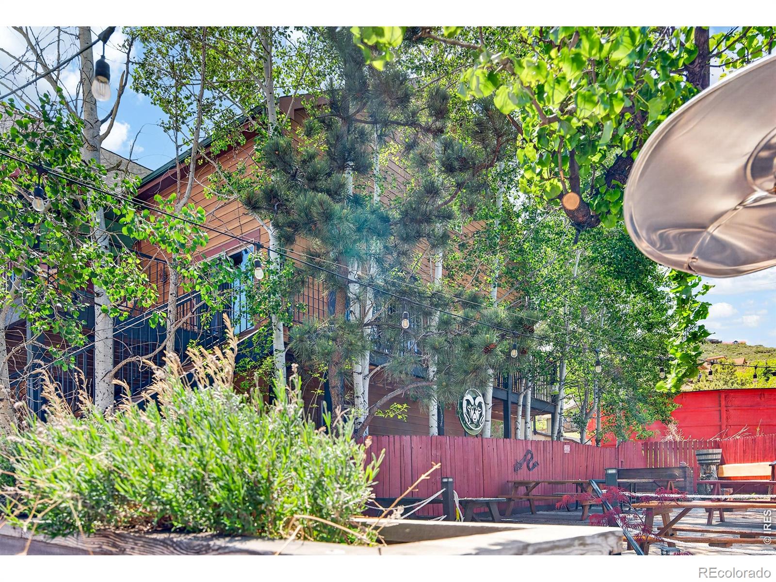 MLS Image #10 for 4789 w county road 38e ,fort collins, Colorado