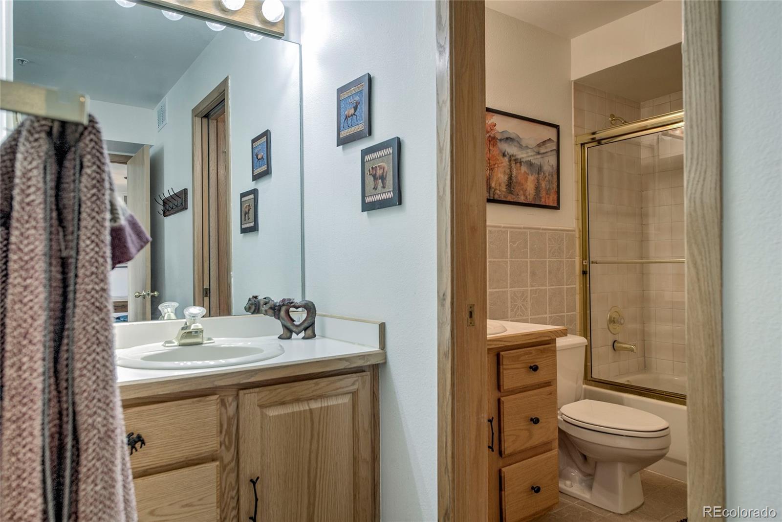 MLS Image #15 for 1610  lakeview terrace,frisco, Colorado
