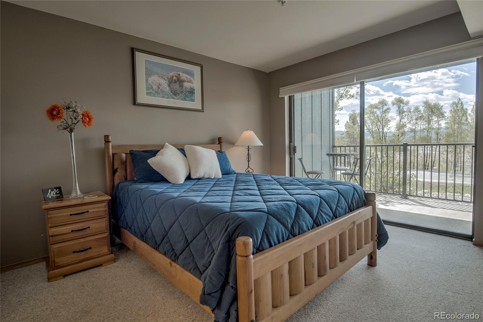 MLS Image #17 for 1610  lakeview terrace,frisco, Colorado