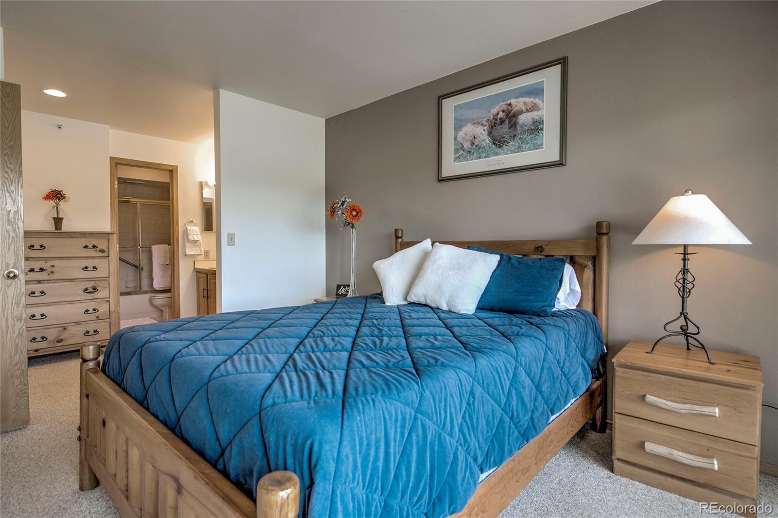 MLS Image #18 for 1610  lakeview terrace,frisco, Colorado