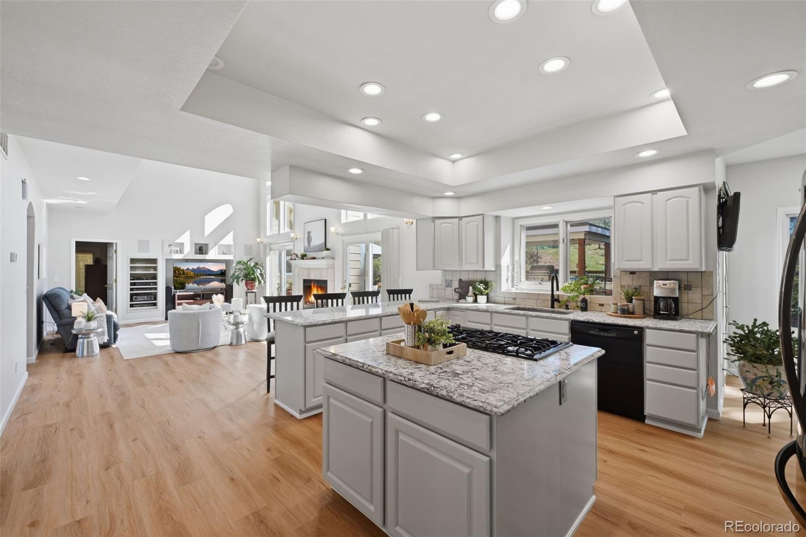 MLS Image #11 for 7550  village road,parker, Colorado
