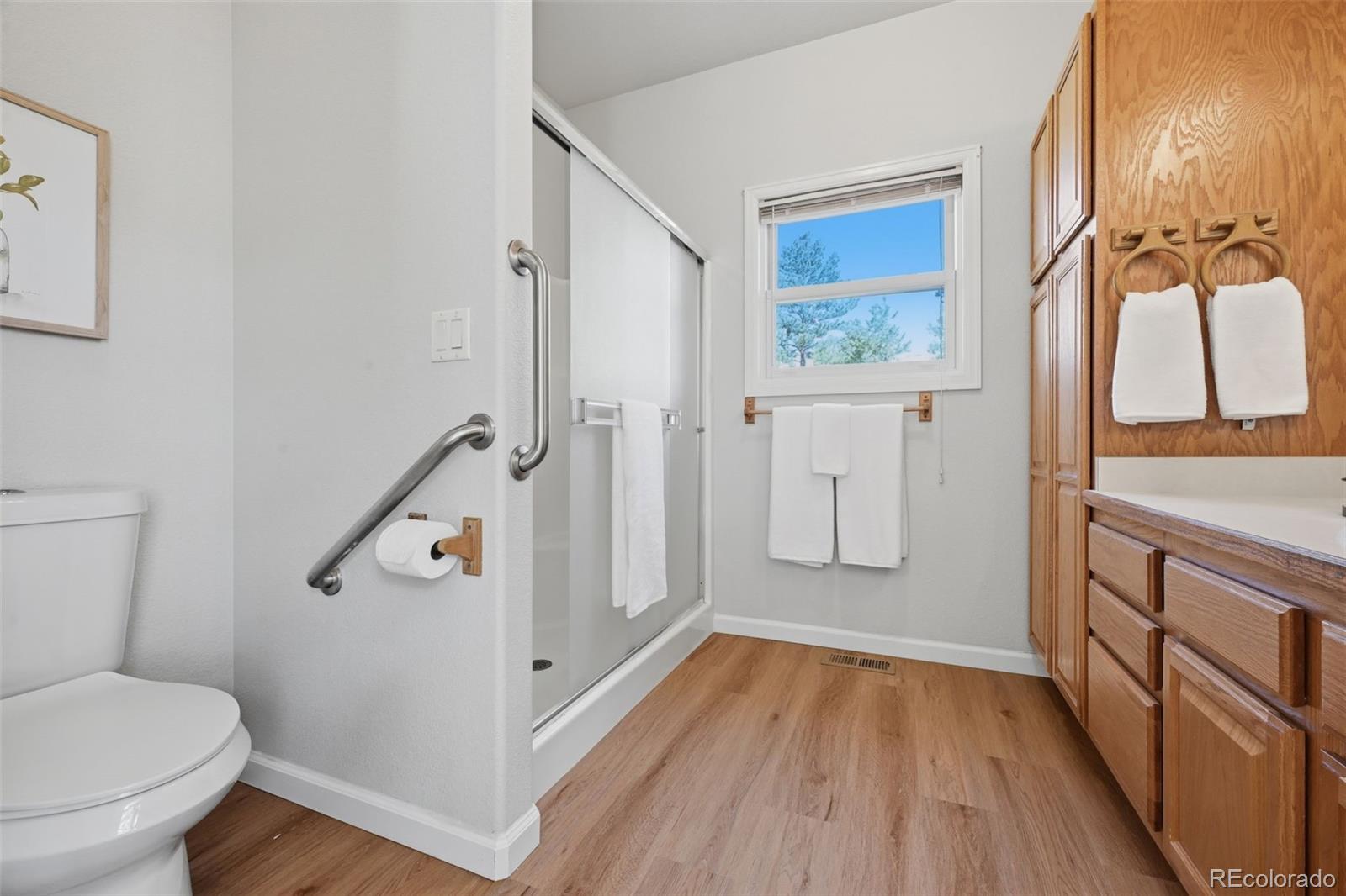 MLS Image #29 for 7550  village road,parker, Colorado