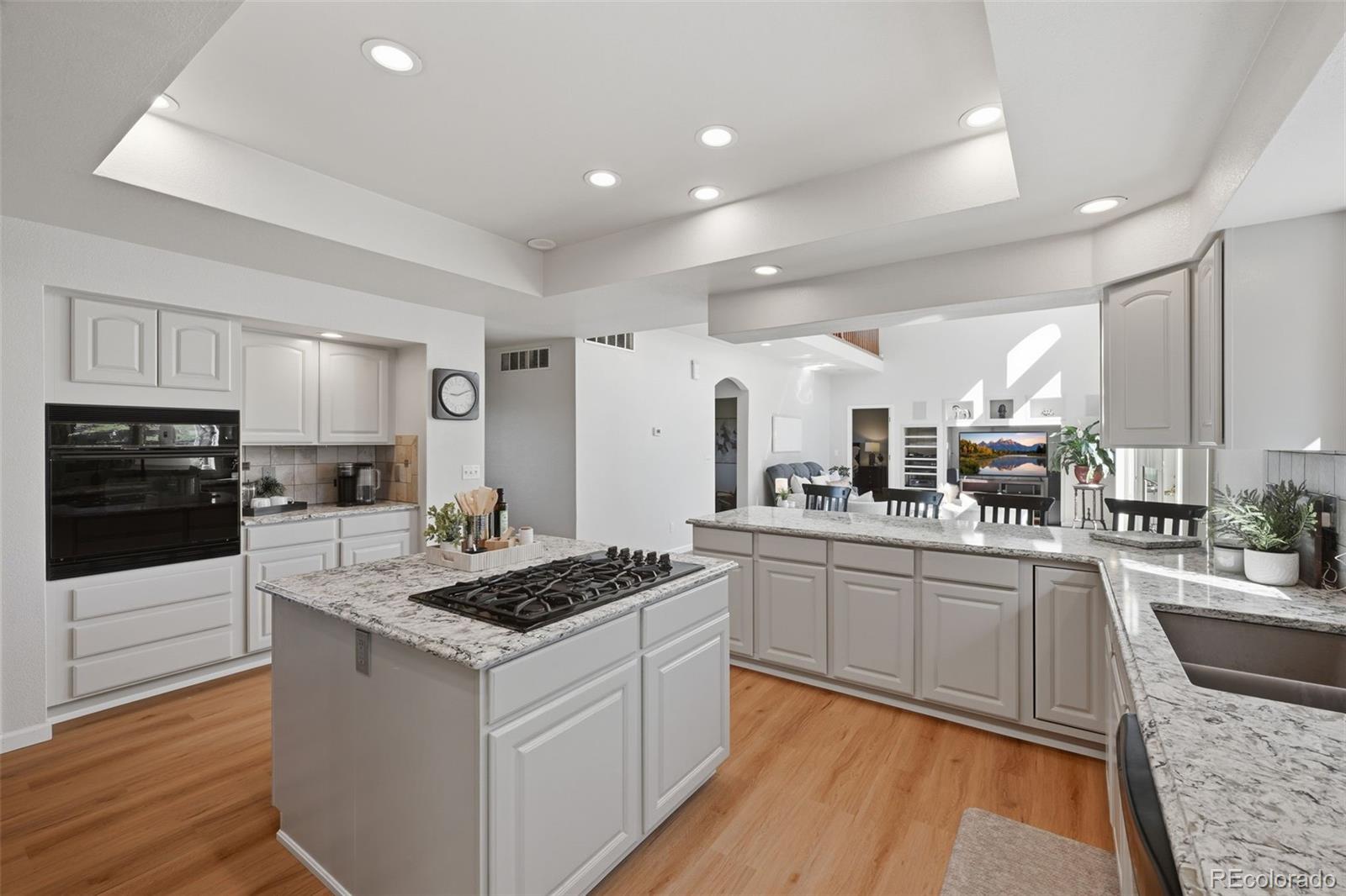 MLS Image #9 for 7550  village road,parker, Colorado