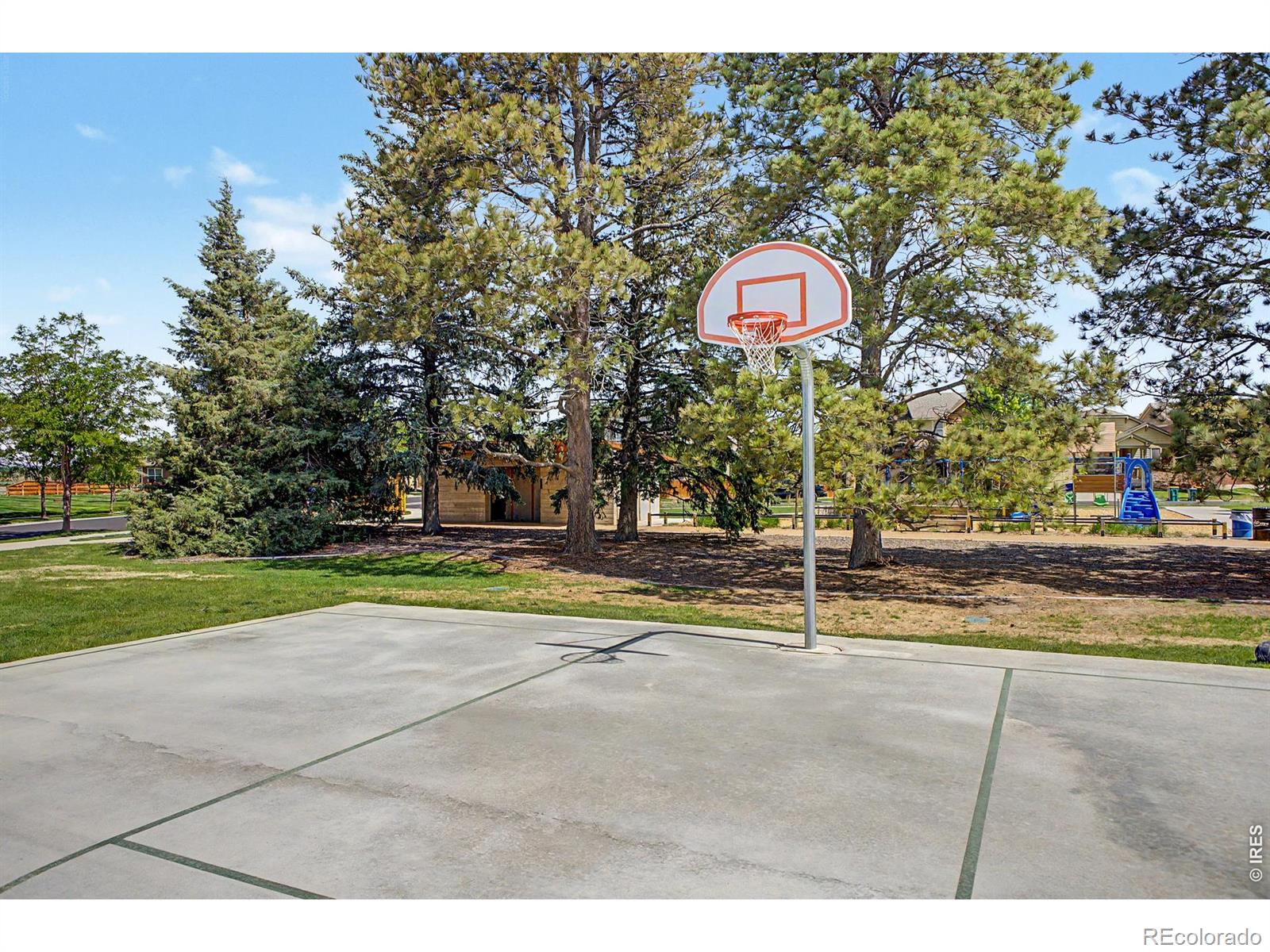 MLS Image #42 for 3451  yule trail drive,fort collins, Colorado