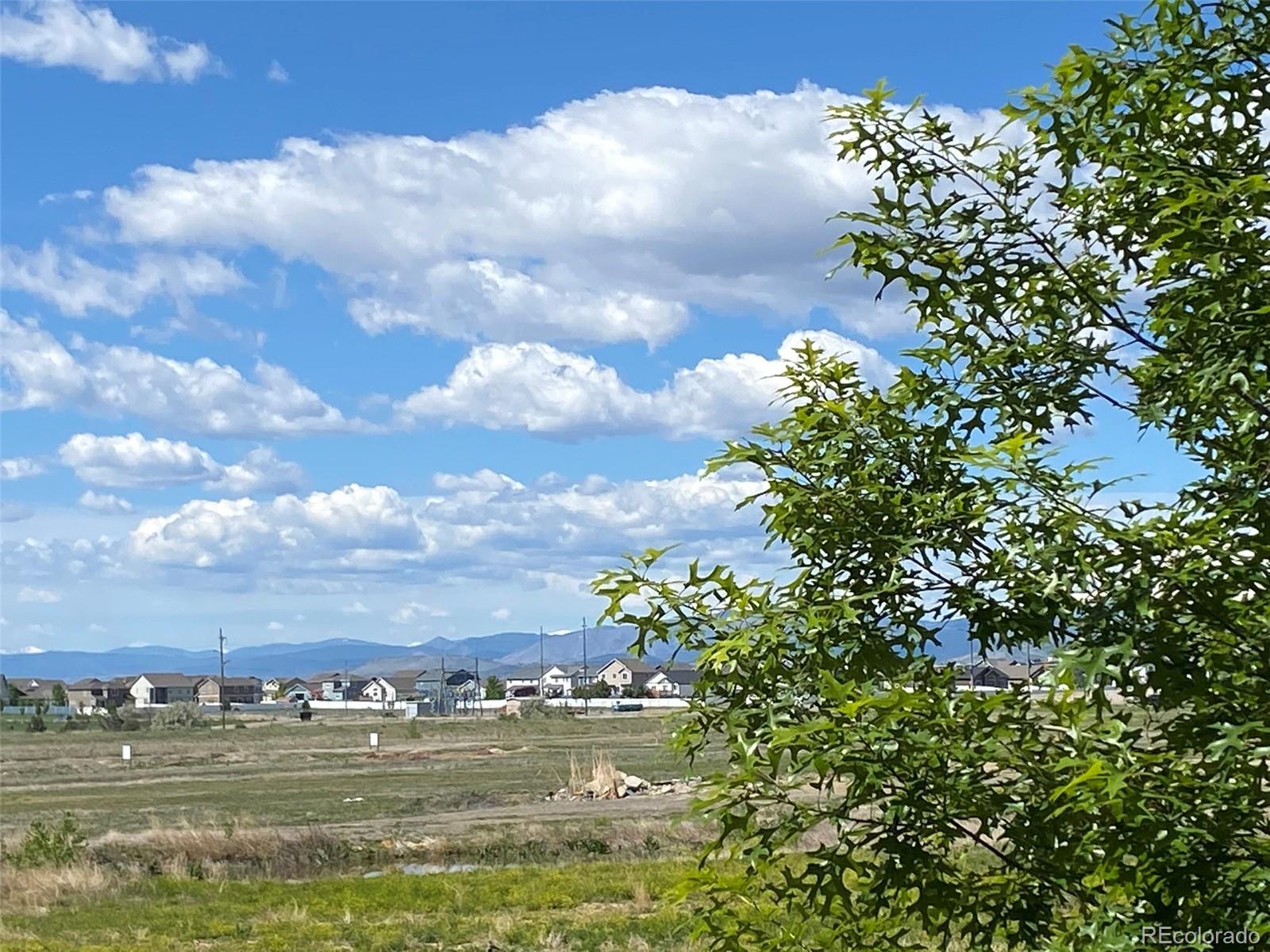 MLS Image #29 for 2766  center park way ,berthoud, Colorado