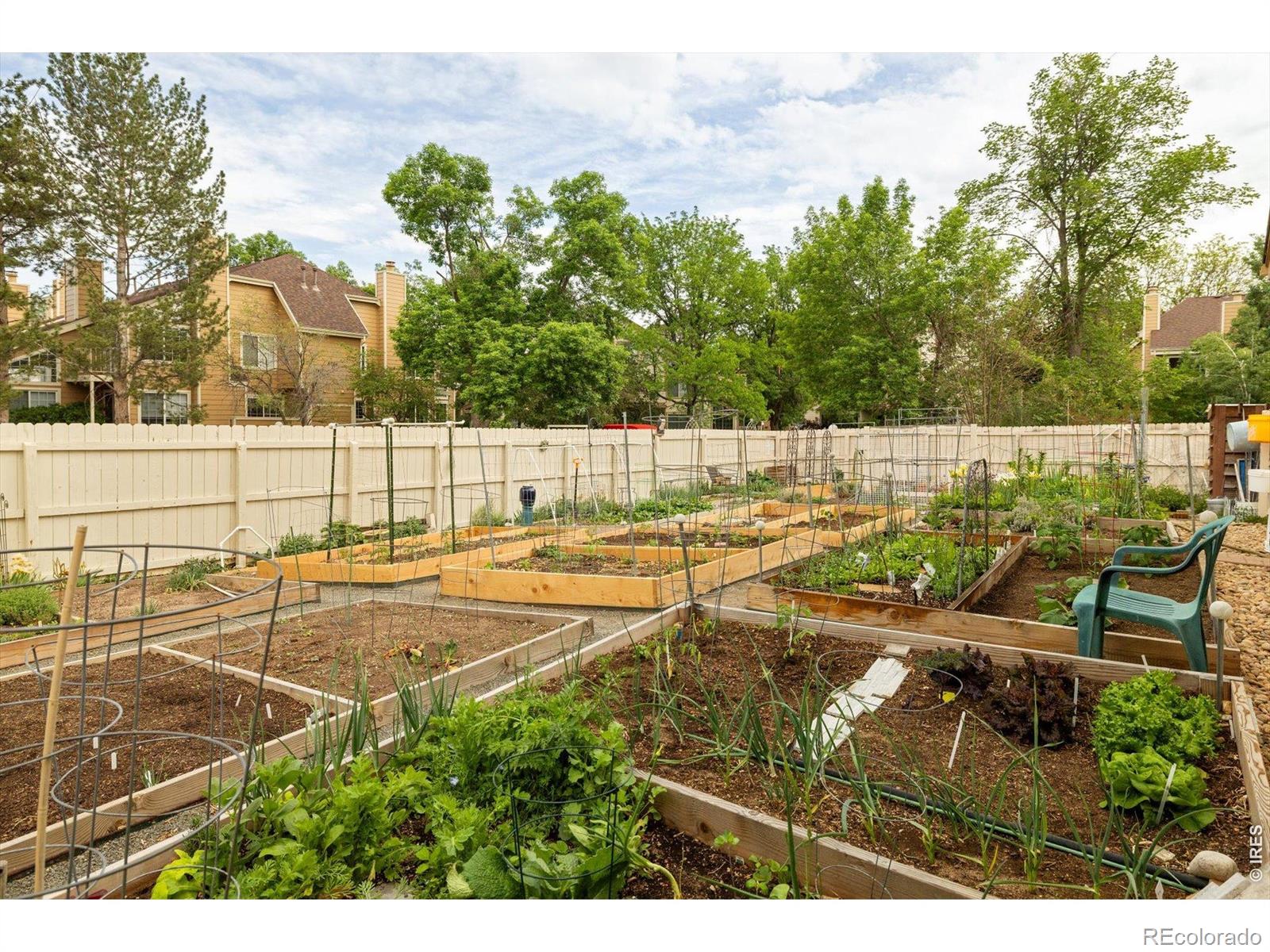 MLS Image #10 for 6054  gunbarrel avenue,boulder, Colorado