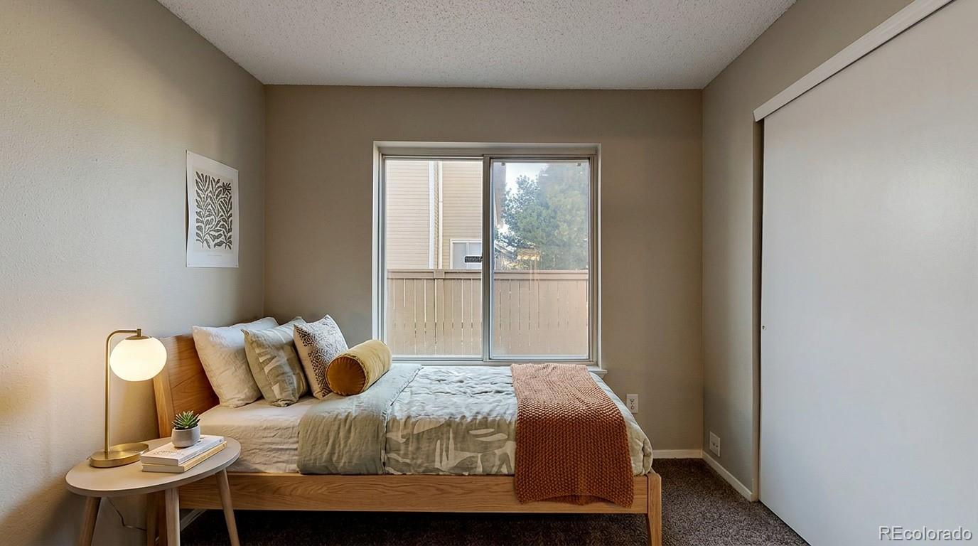 MLS Image #19 for 841  thames street,highlands ranch, Colorado
