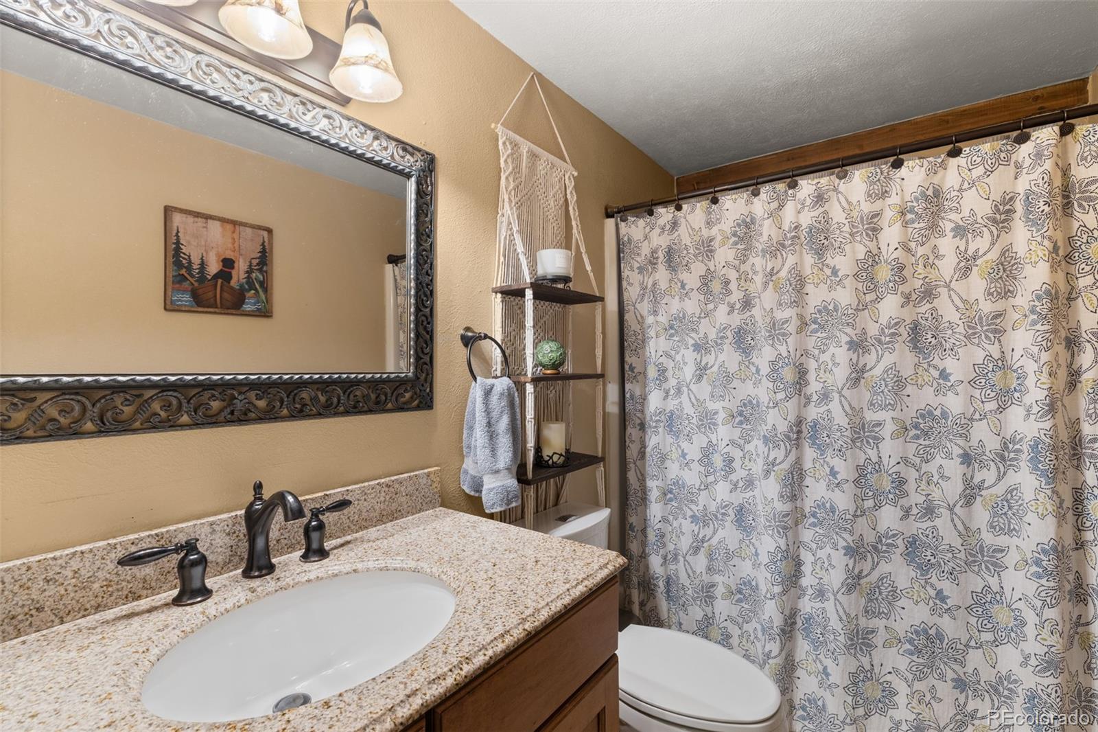MLS Image #11 for 304  ryan gulch court,silverthorne, Colorado