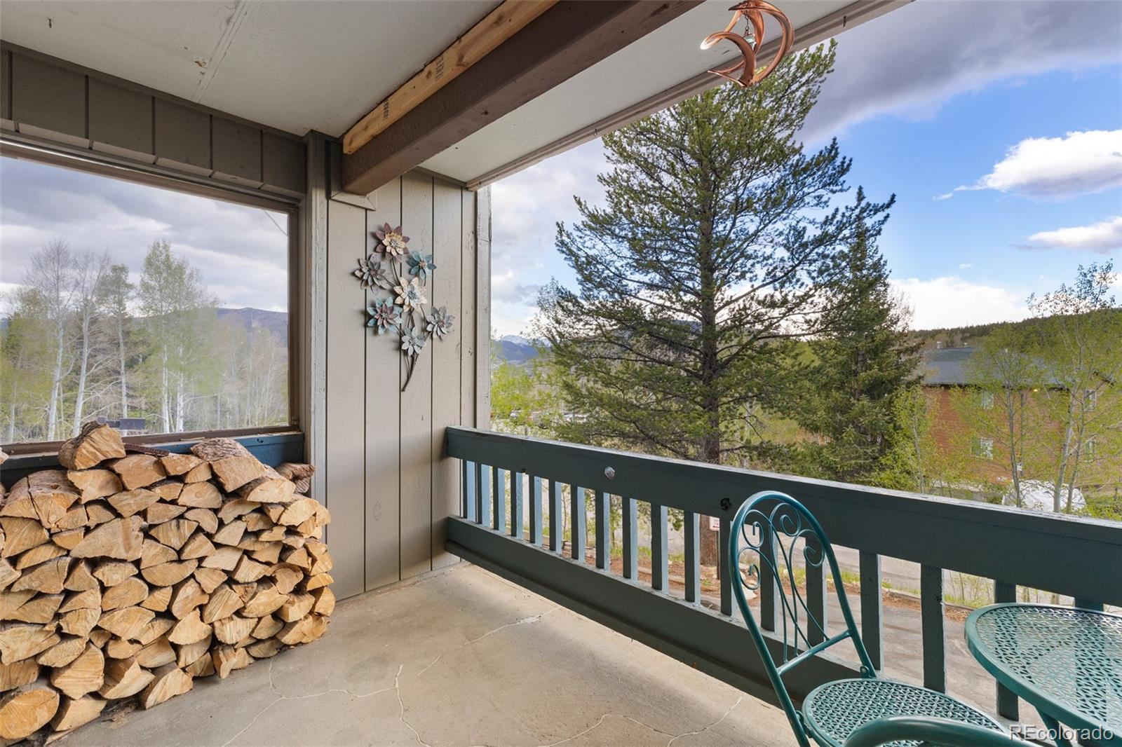 MLS Image #19 for 304  ryan gulch court,silverthorne, Colorado