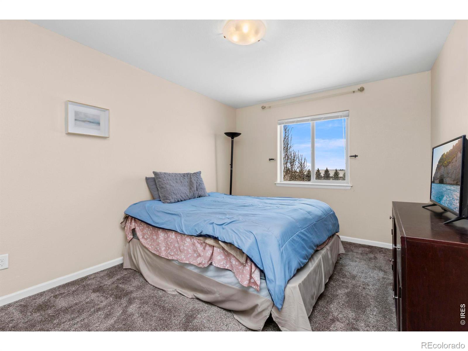 MLS Image #22 for 3147  alybar drive,wellington, Colorado