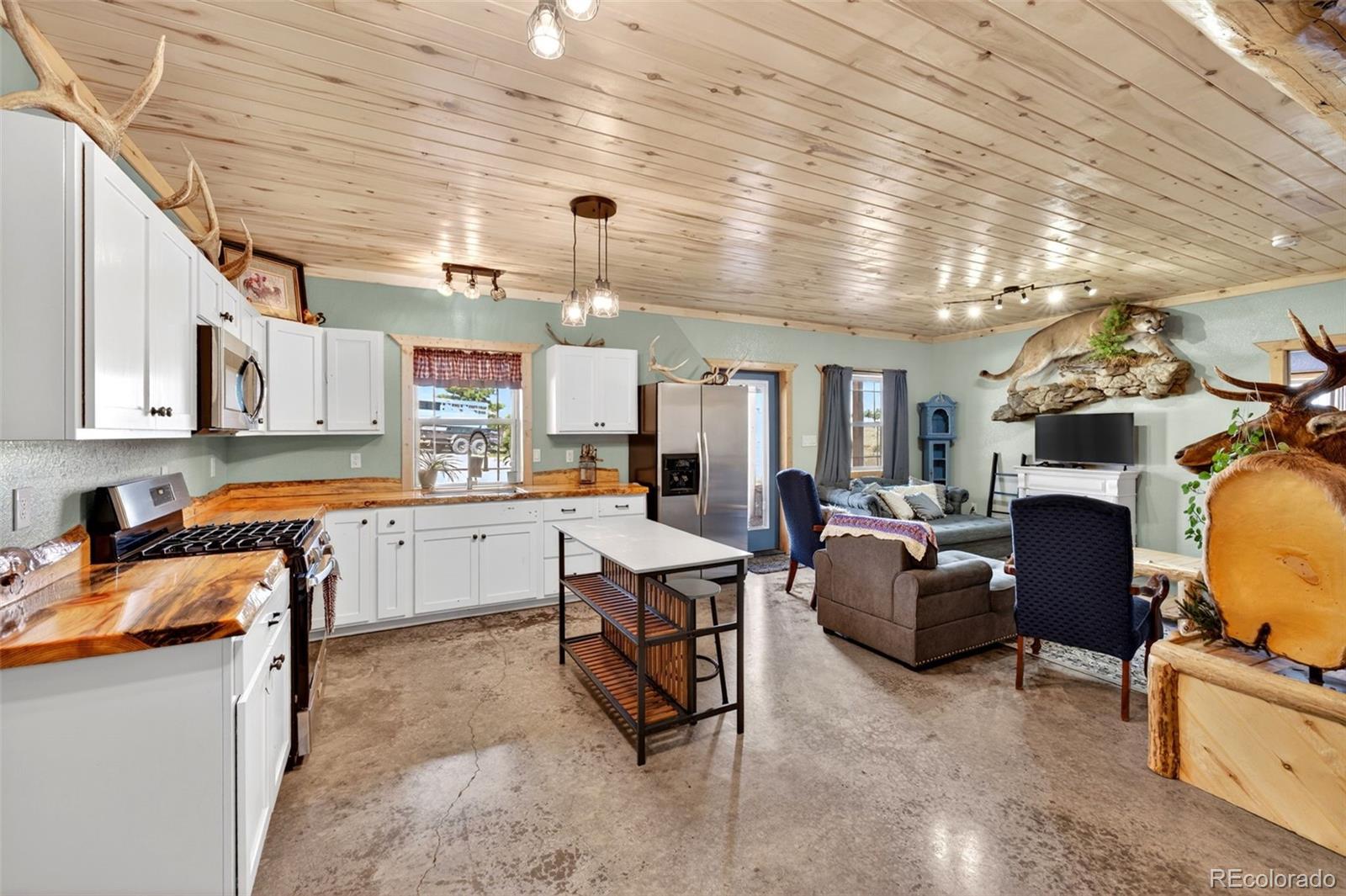 MLS Image #8 for 3069  sangre drive,westcliffe, Colorado