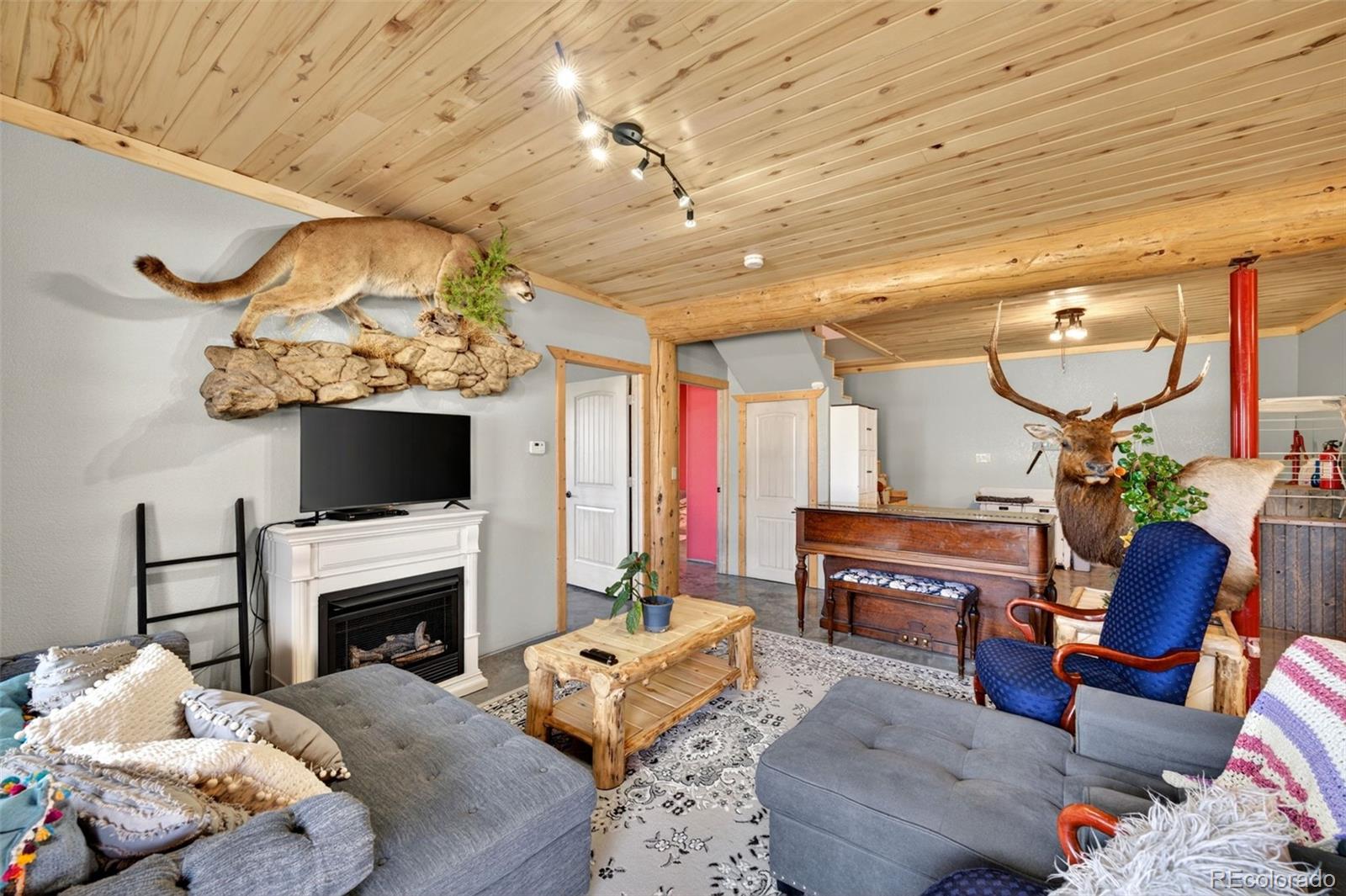 MLS Image #9 for 3069  sangre drive,westcliffe, Colorado