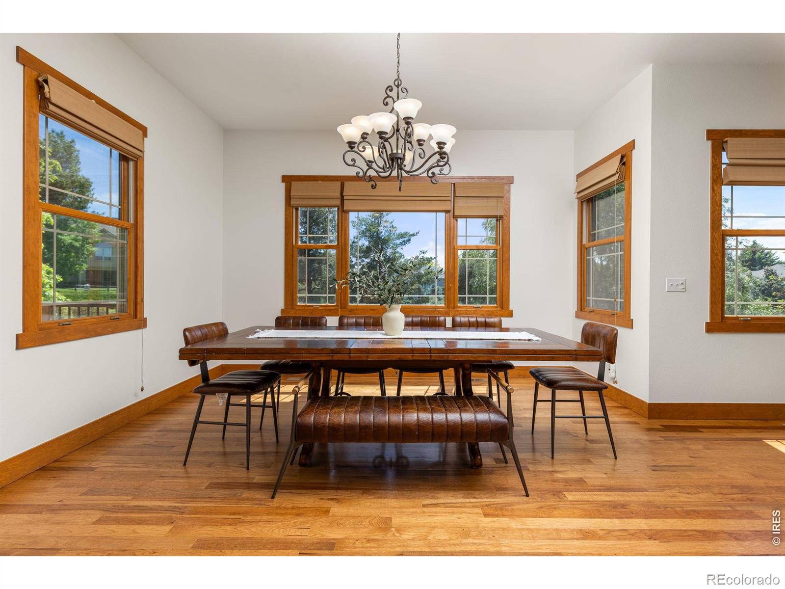 MLS Image #10 for 1190  trails end court,windsor, Colorado