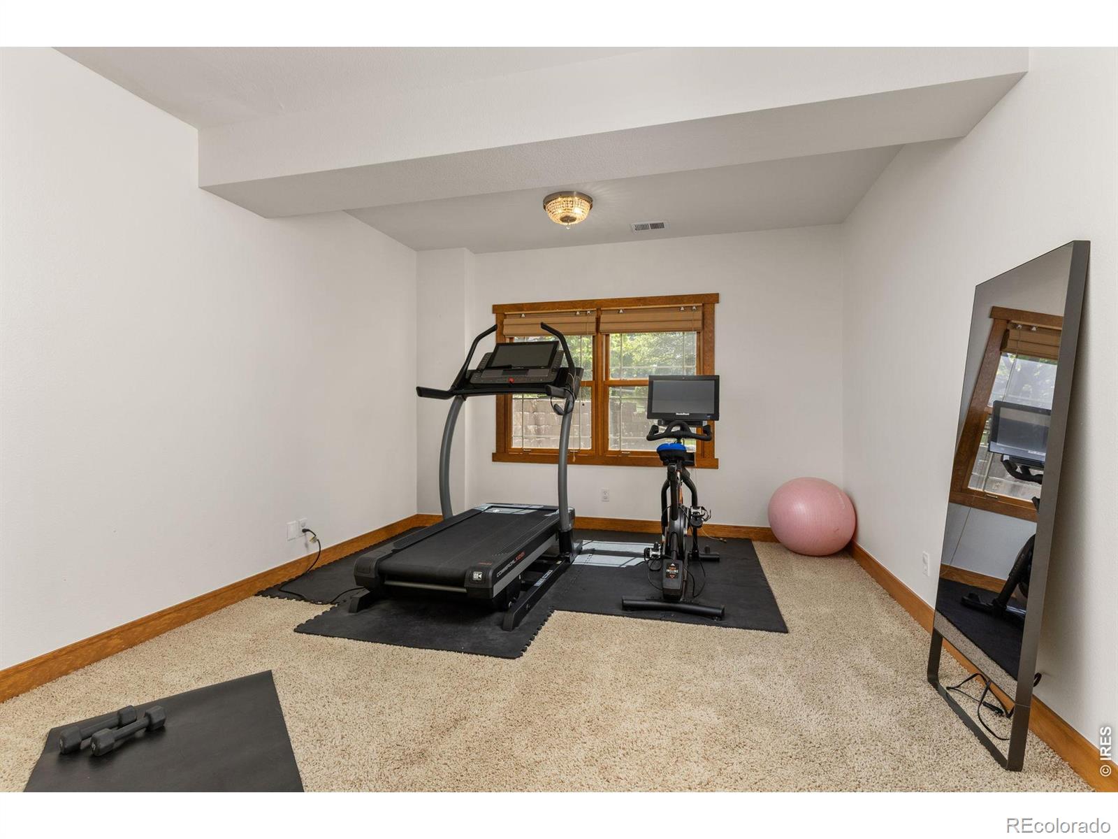 MLS Image #33 for 1190  trails end court,windsor, Colorado