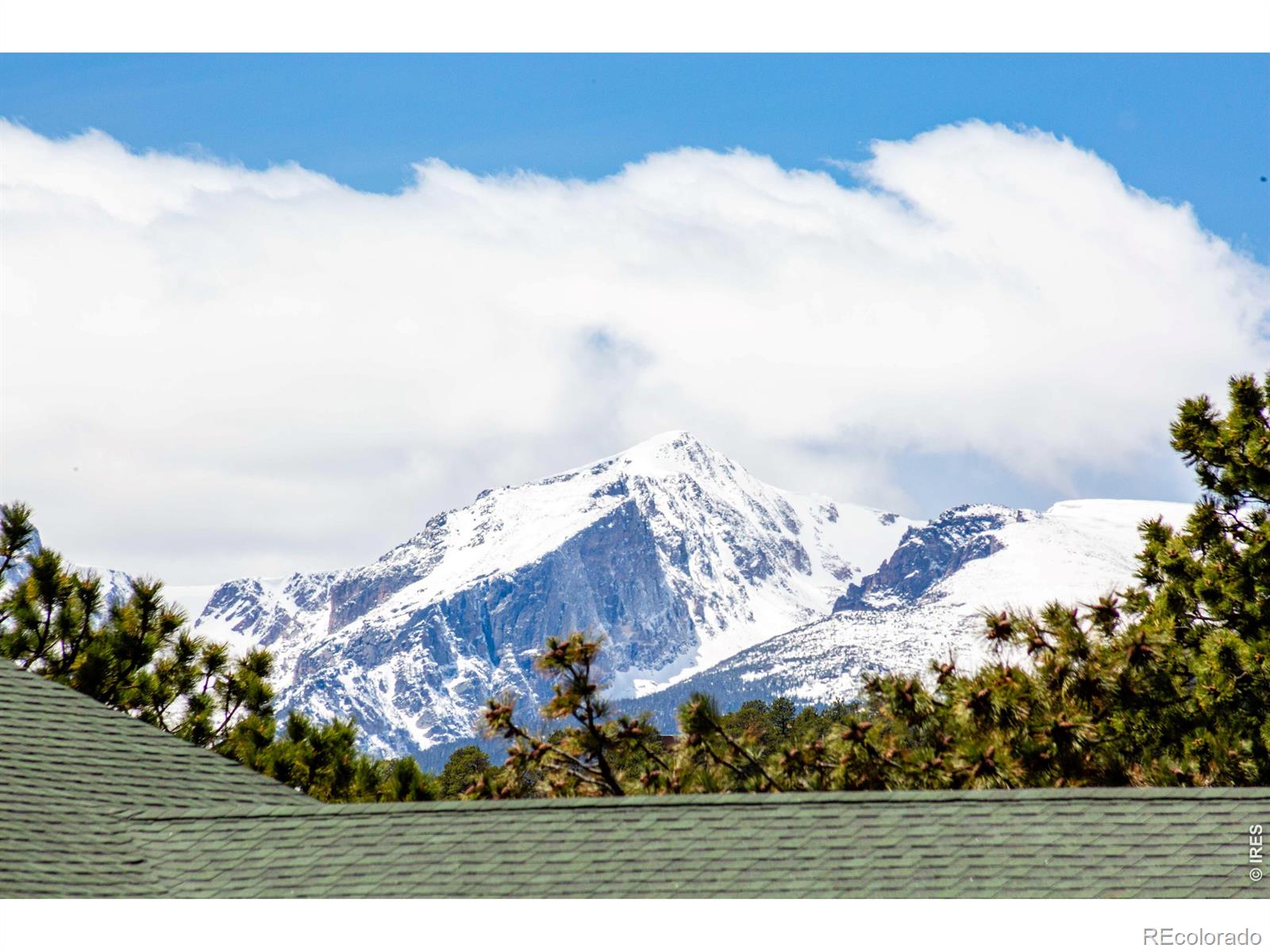 MLS Image #10 for 260  big horn drive,estes park, Colorado