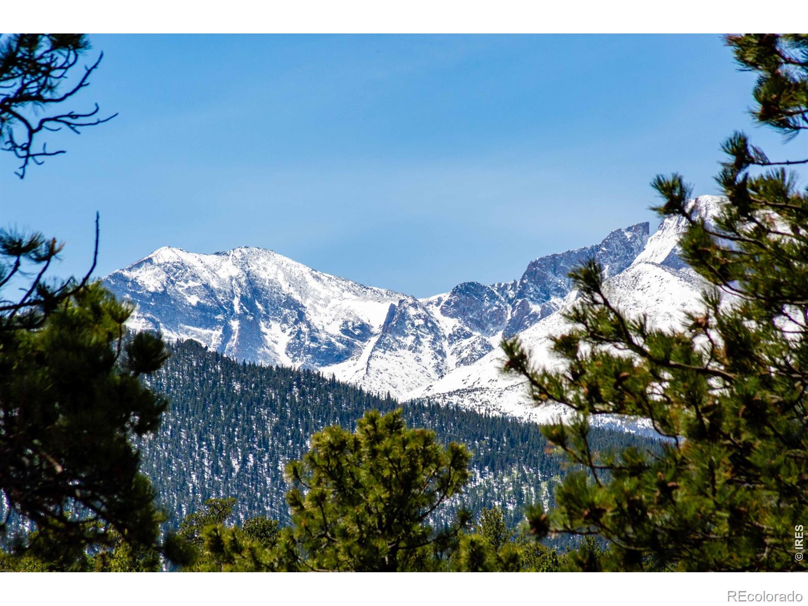 MLS Image #11 for 260  big horn drive,estes park, Colorado