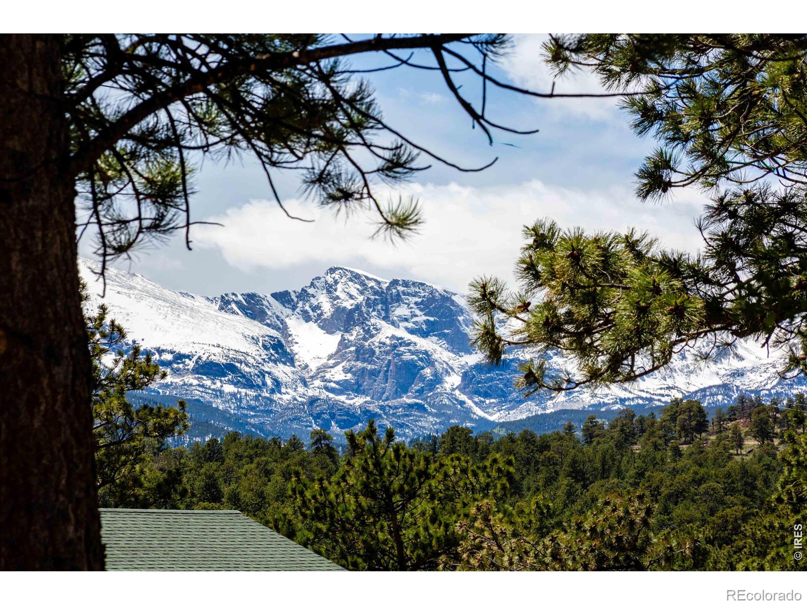 MLS Image #22 for 260  big horn drive,estes park, Colorado