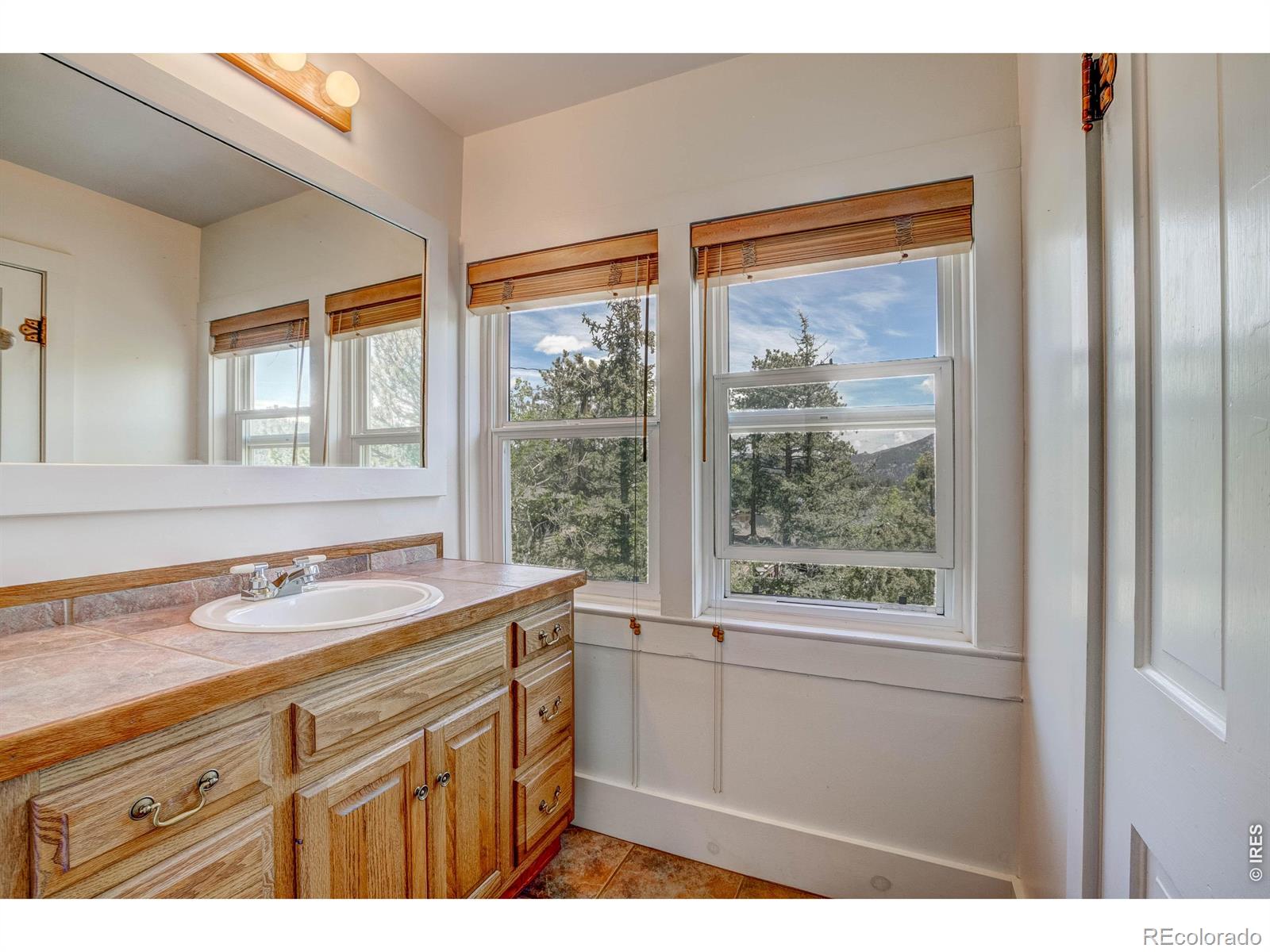 MLS Image #25 for 260  big horn drive,estes park, Colorado