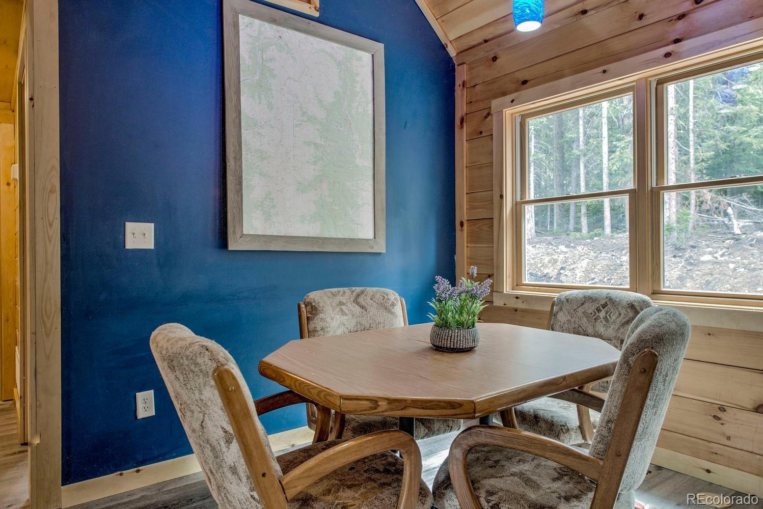 MLS Image #10 for 326  bum drive,fairplay, Colorado