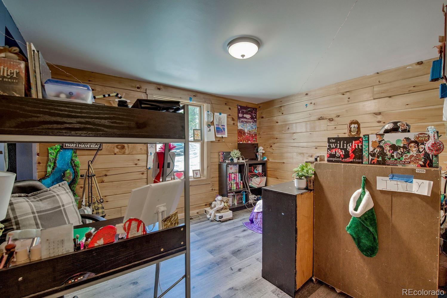 MLS Image #18 for 326  bum drive,fairplay, Colorado