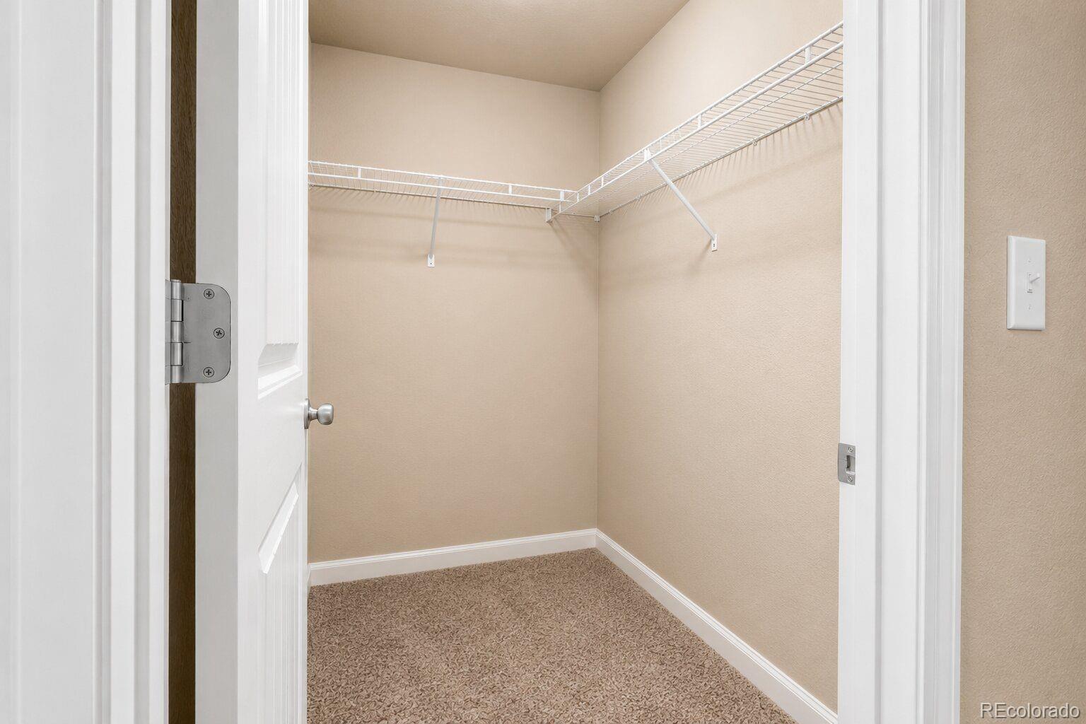 MLS Image #28 for 5175  clarence drive,windsor, Colorado