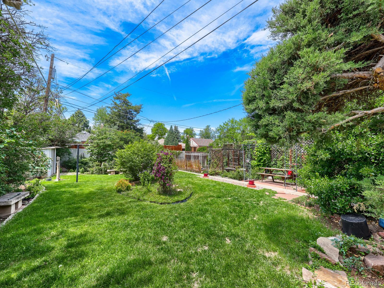 MLS Image #20 for 1535  poplar street,denver, Colorado