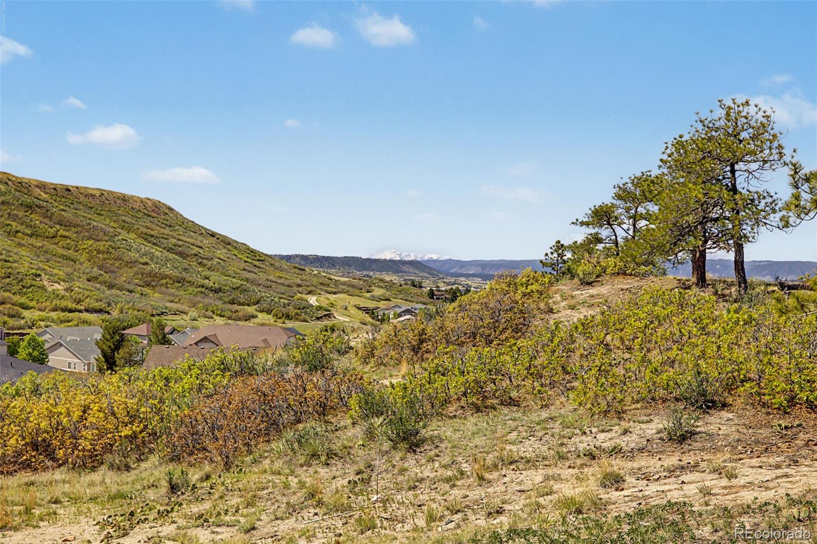 MLS Image #38 for 2601  dublin drive,castle rock, Colorado