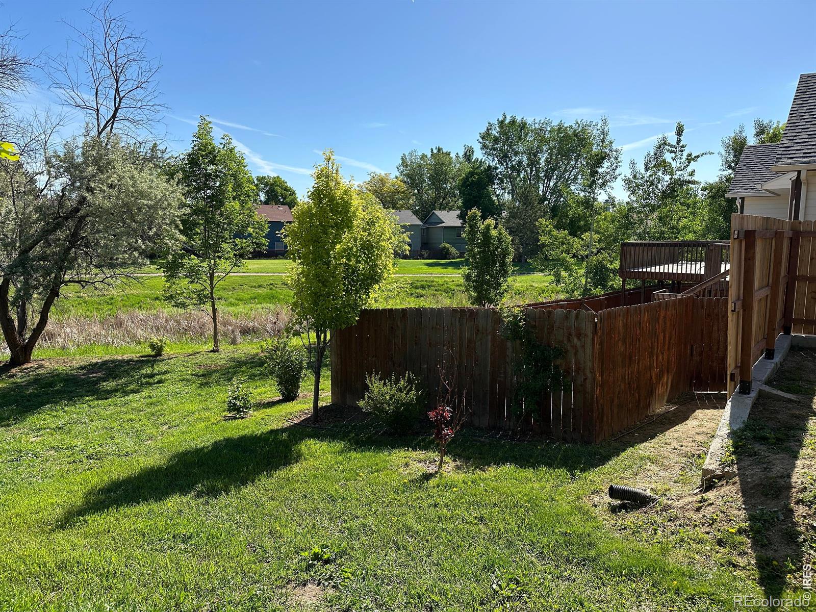 MLS Image #29 for 1013 w 41st street,loveland, Colorado