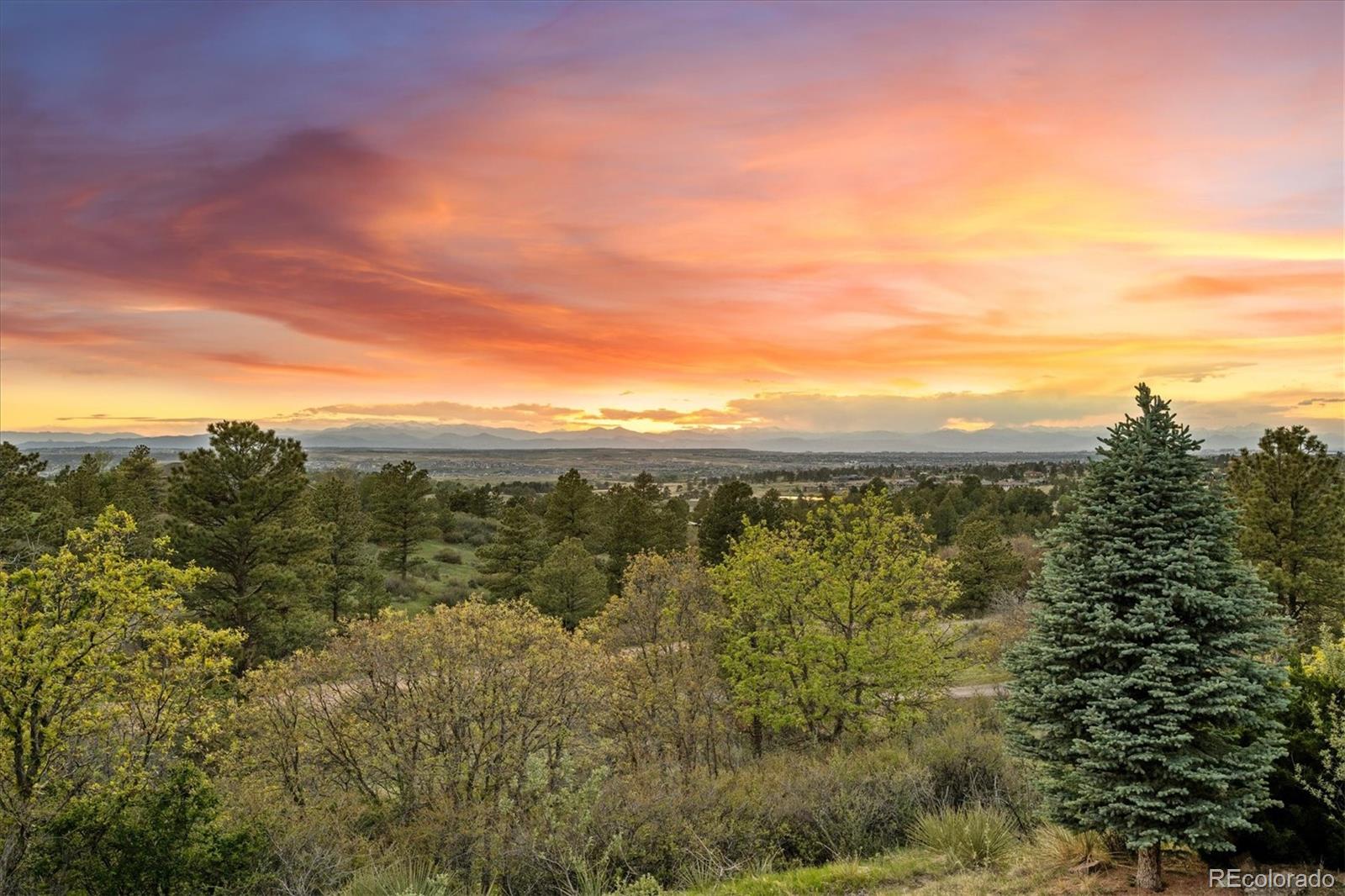 MLS Image #3 for 6886  village road,parker, Colorado