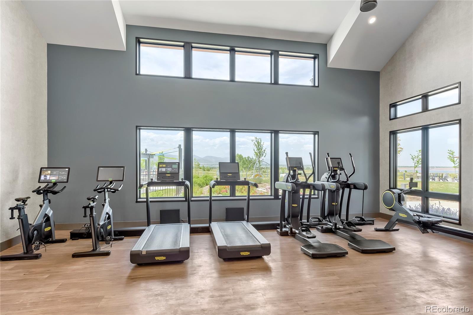 MLS Image #30 for 9112  moondance drive,littleton, Colorado