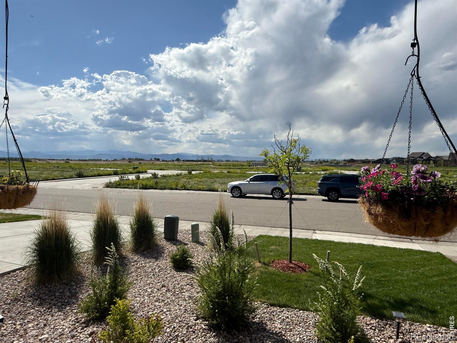 MLS Image #1 for 709  hillspire drive,windsor, Colorado