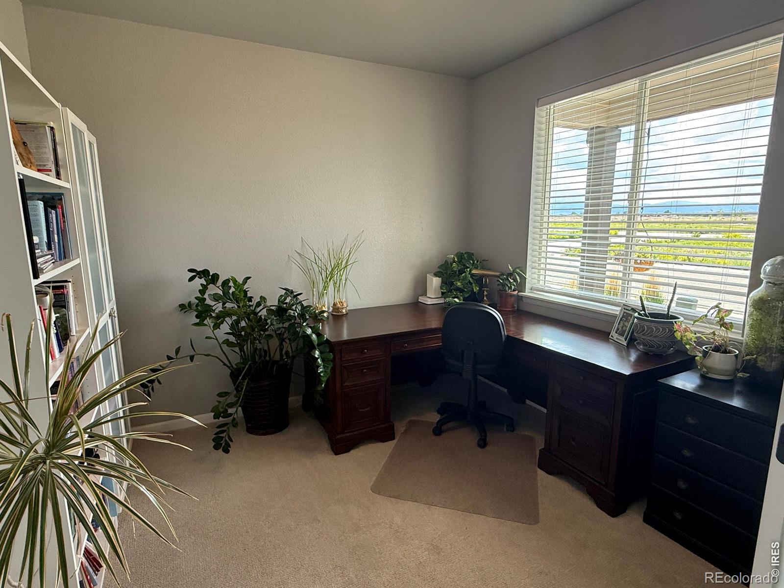 MLS Image #15 for 709  hillspire drive,windsor, Colorado