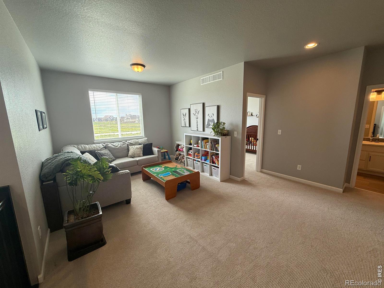 MLS Image #21 for 709  hillspire drive,windsor, Colorado
