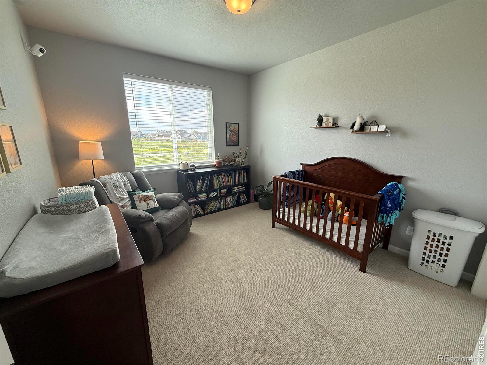 MLS Image #22 for 709  hillspire drive,windsor, Colorado