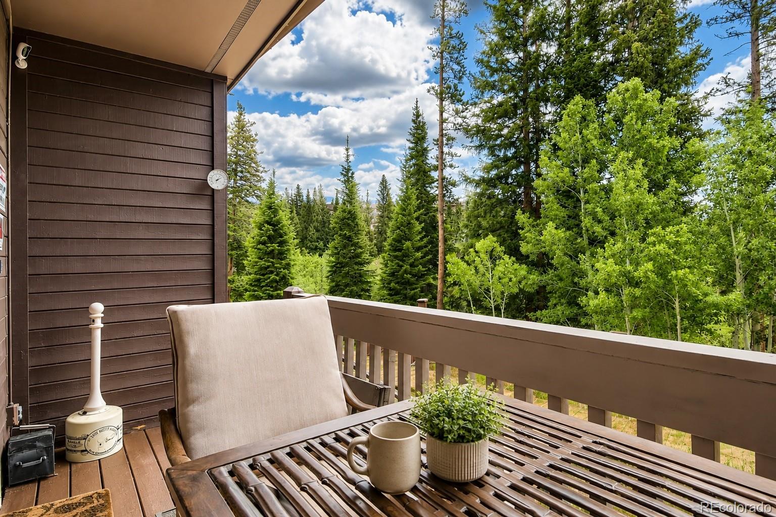 MLS Image #11 for 10500  ryan gulch road,silverthorne, Colorado