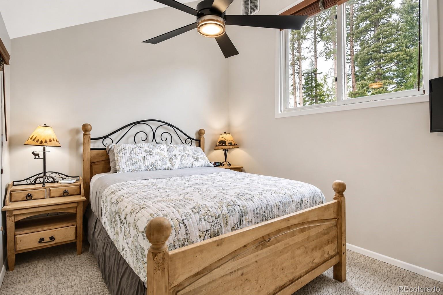 MLS Image #20 for 10500  ryan gulch road,silverthorne, Colorado