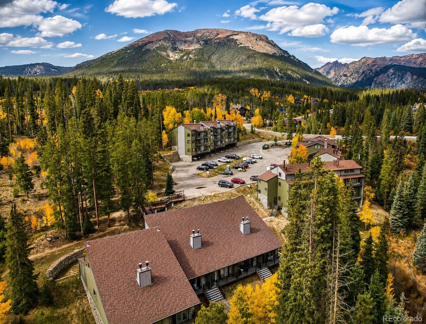 MLS Image #25 for 10500  ryan gulch road,silverthorne, Colorado