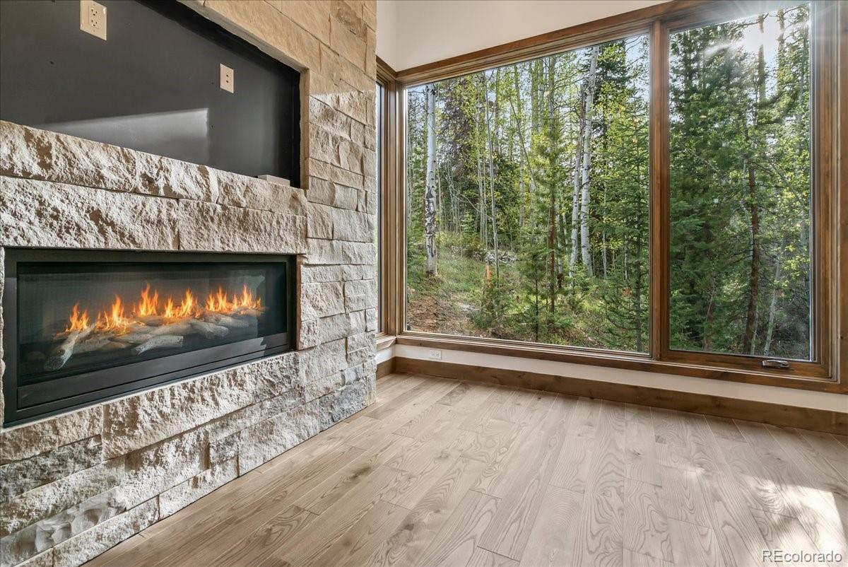 MLS Image #19 for 1615  golden eagle road,silverthorne, Colorado