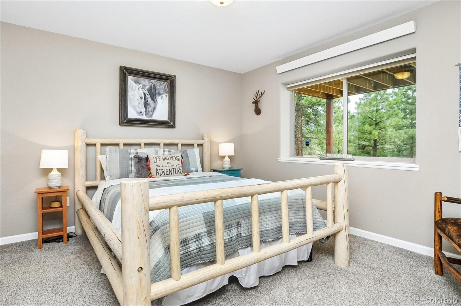 MLS Image #29 for 30460  mountainside drive,buena vista, Colorado