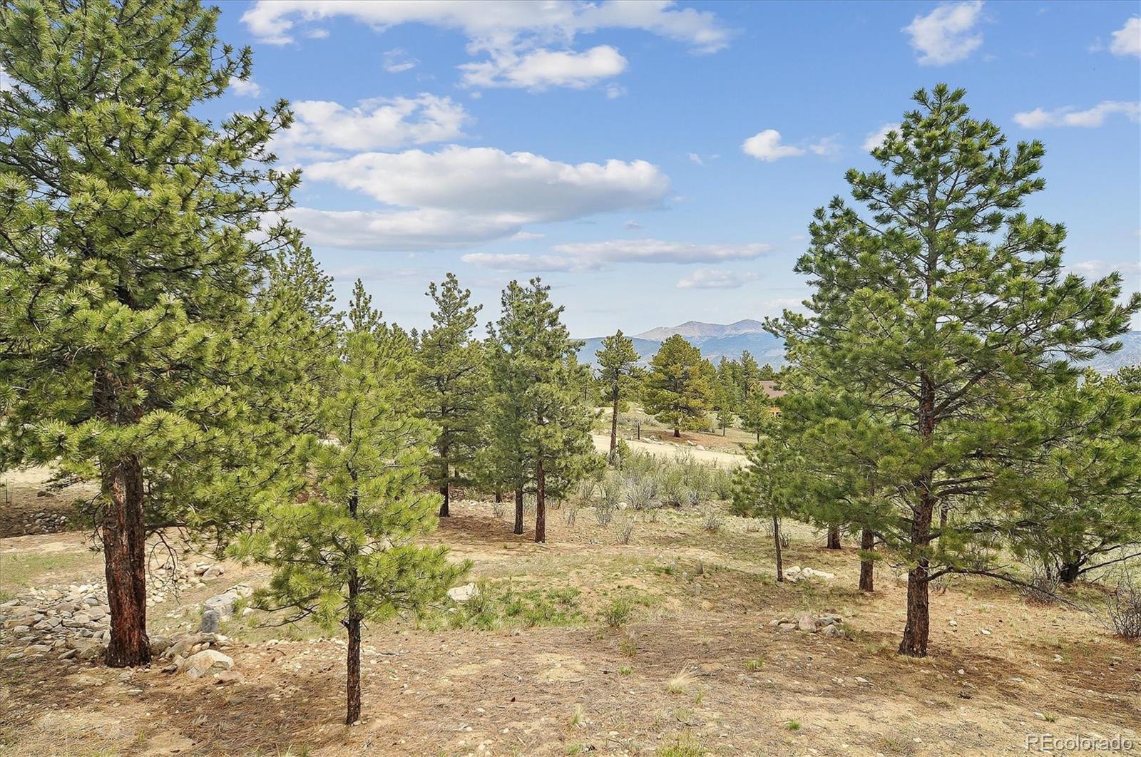 MLS Image #36 for 30460  mountainside drive,buena vista, Colorado