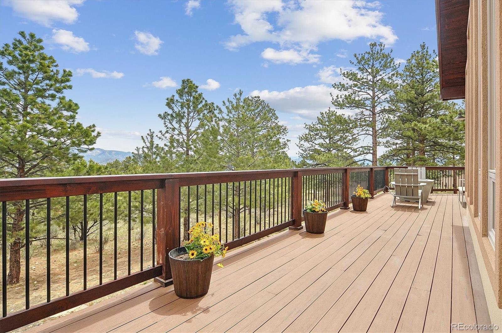 MLS Image #6 for 30460  mountainside drive,buena vista, Colorado