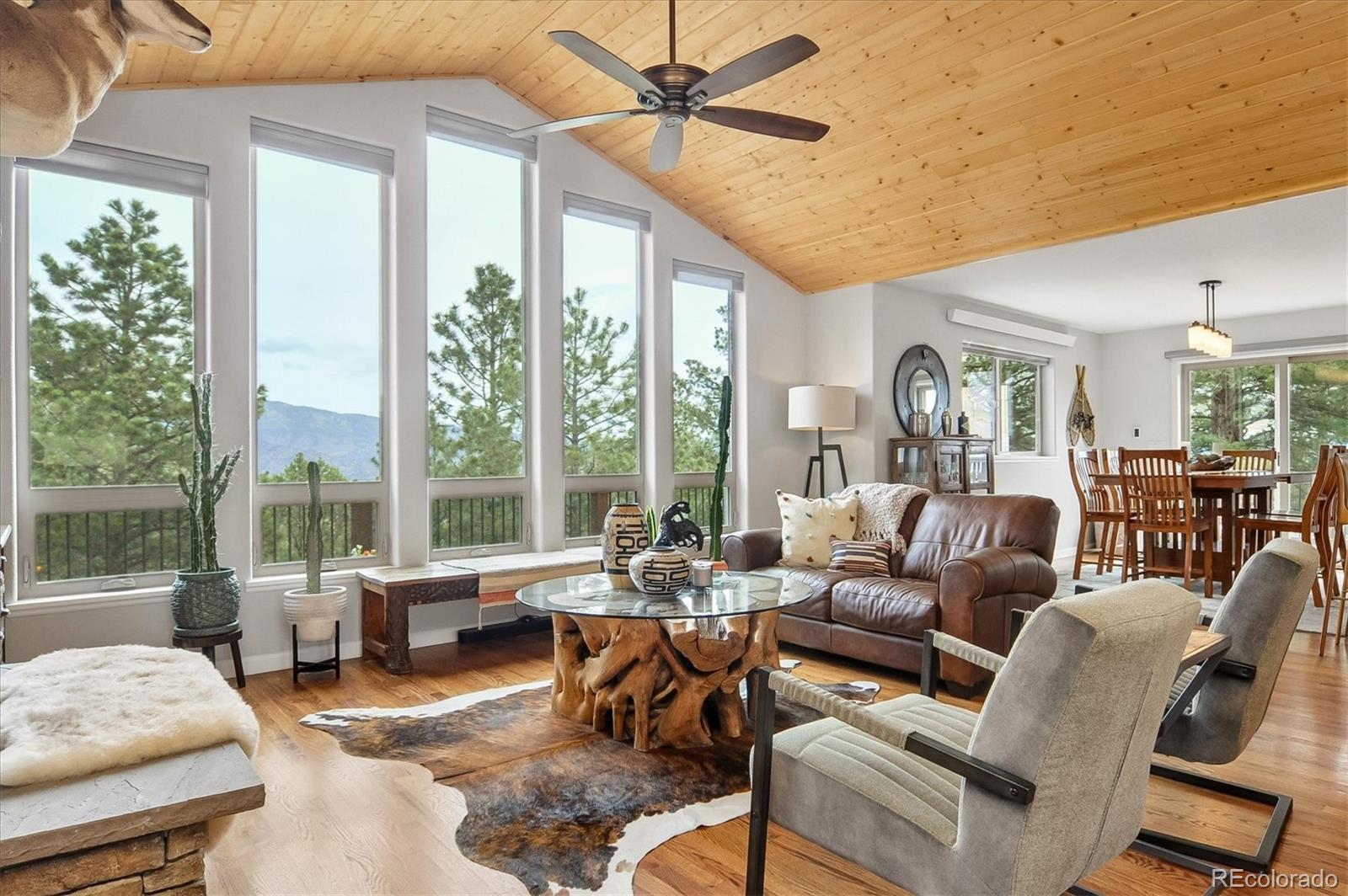 MLS Image #8 for 30460  mountainside drive,buena vista, Colorado