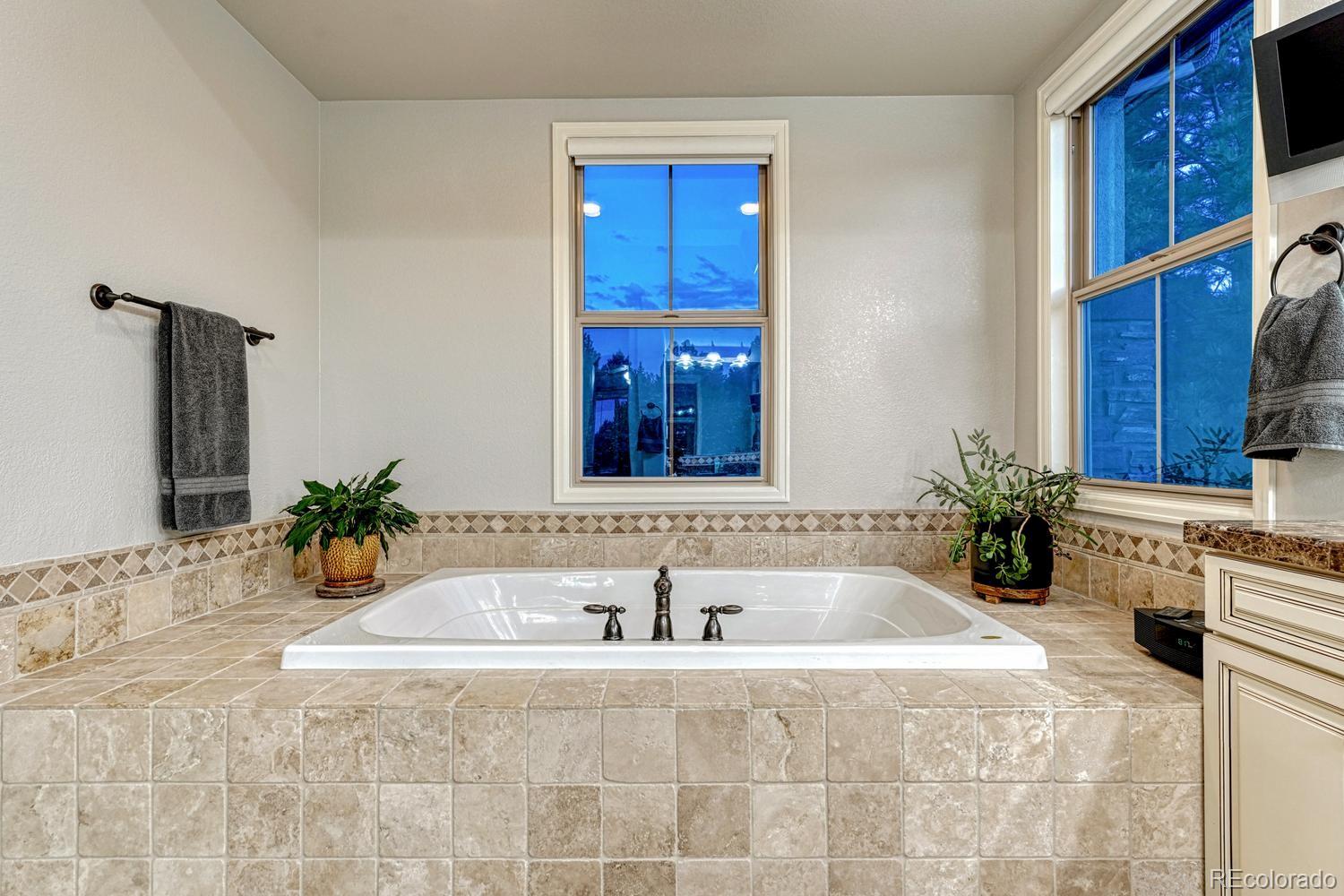 MLS Image #17 for 6273  shavano peak place,castle rock, Colorado
