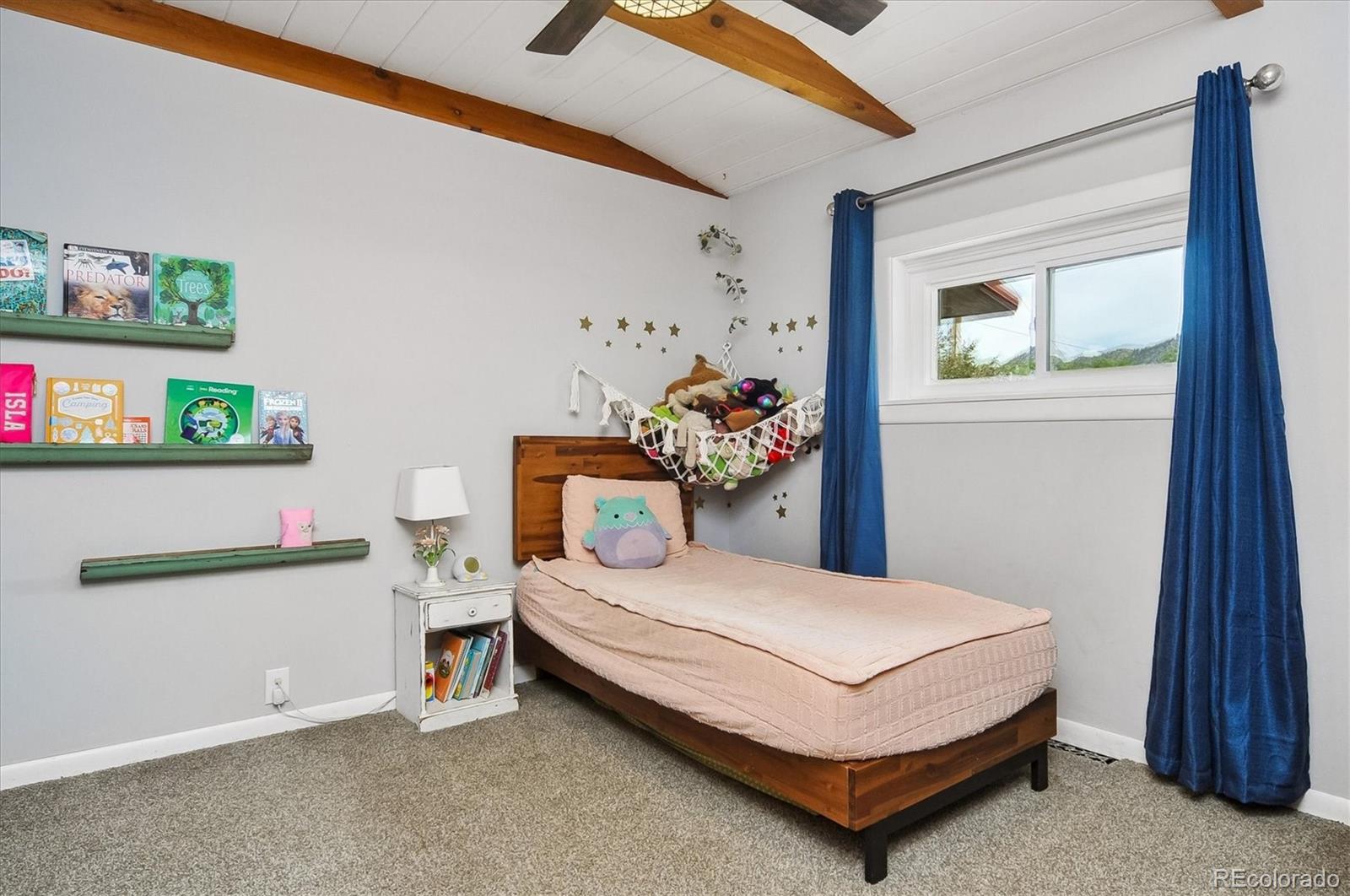 MLS Image #27 for 173 s sangre de cristo avenue,buena vista, Colorado