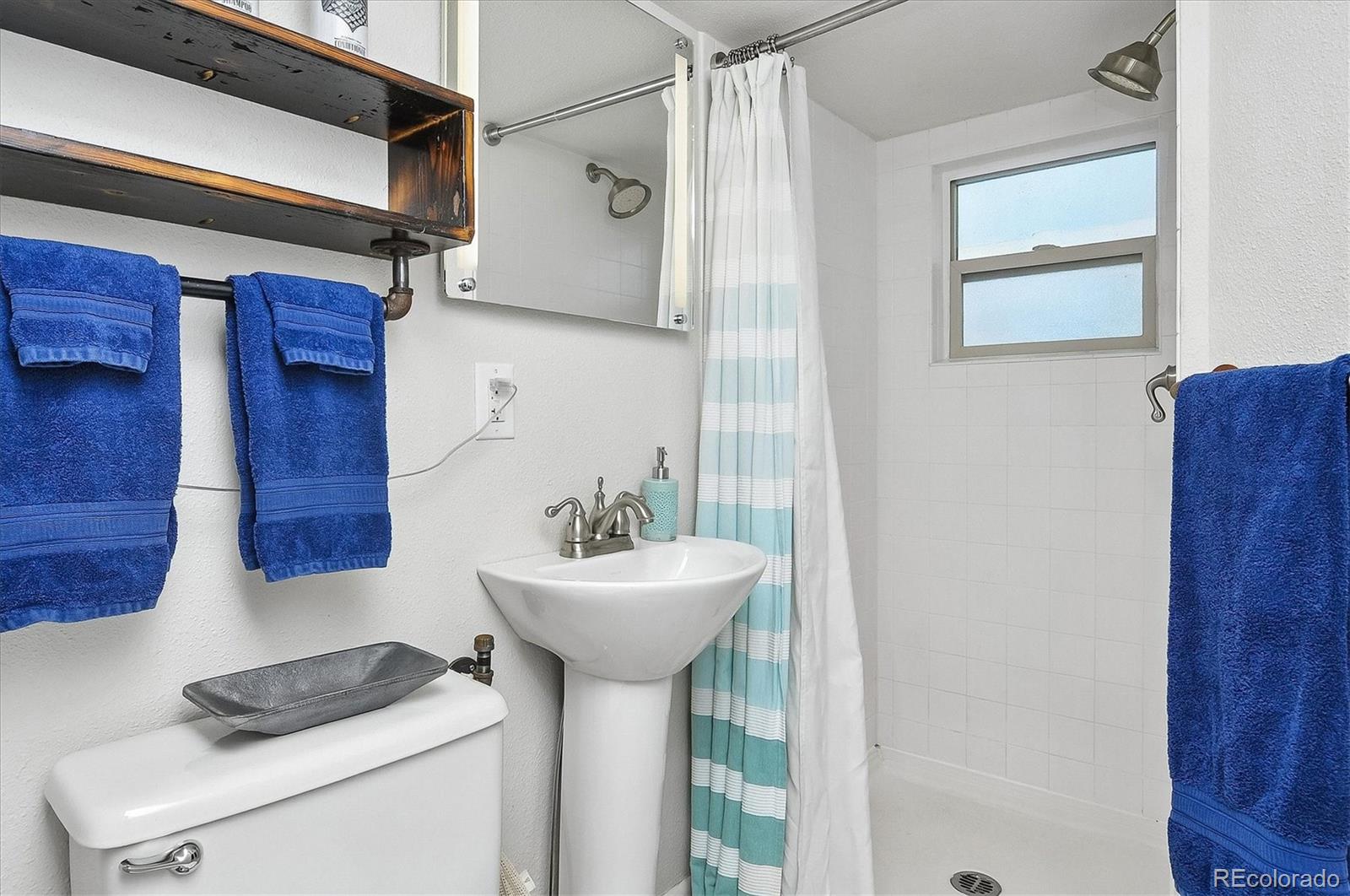 MLS Image #35 for 173 s sangre de cristo avenue,buena vista, Colorado
