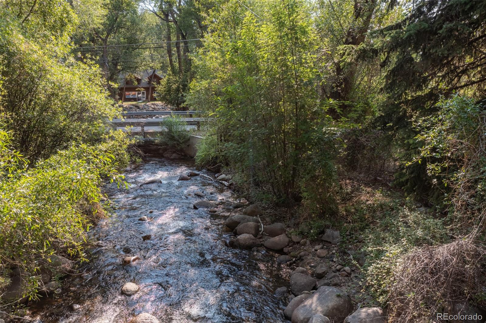 MLS Image #3 for 408  princeton avenue,buena vista, Colorado