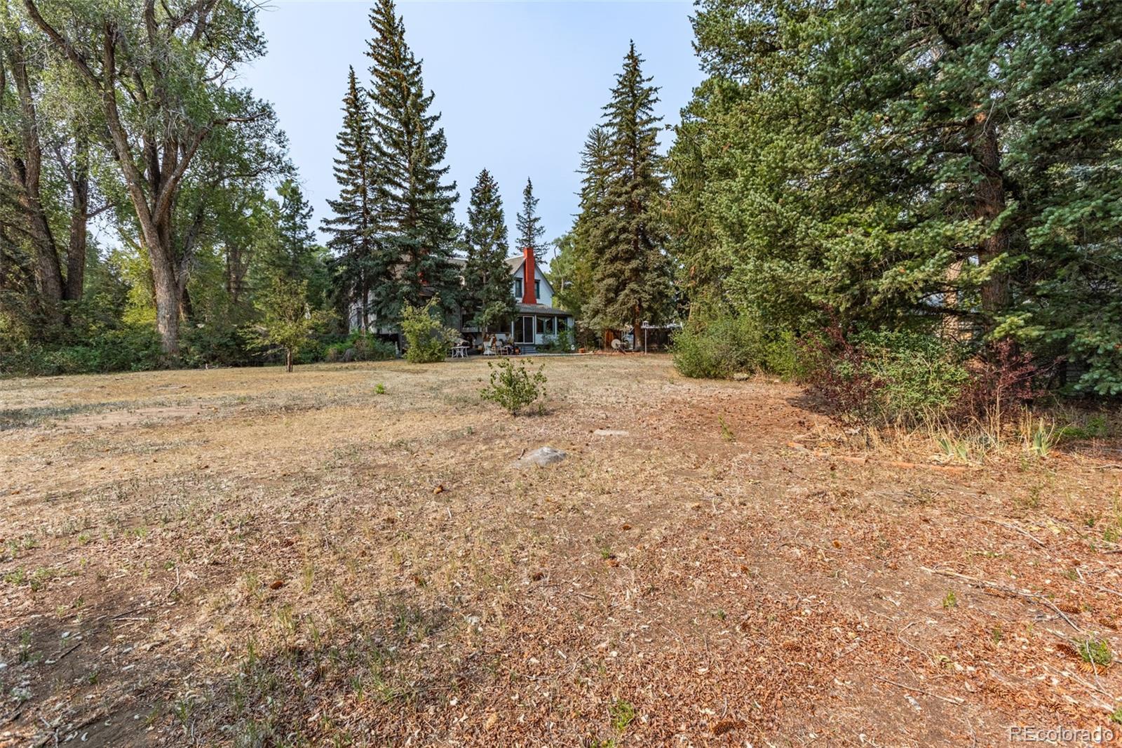 MLS Image #32 for 408  princeton avenue,buena vista, Colorado
